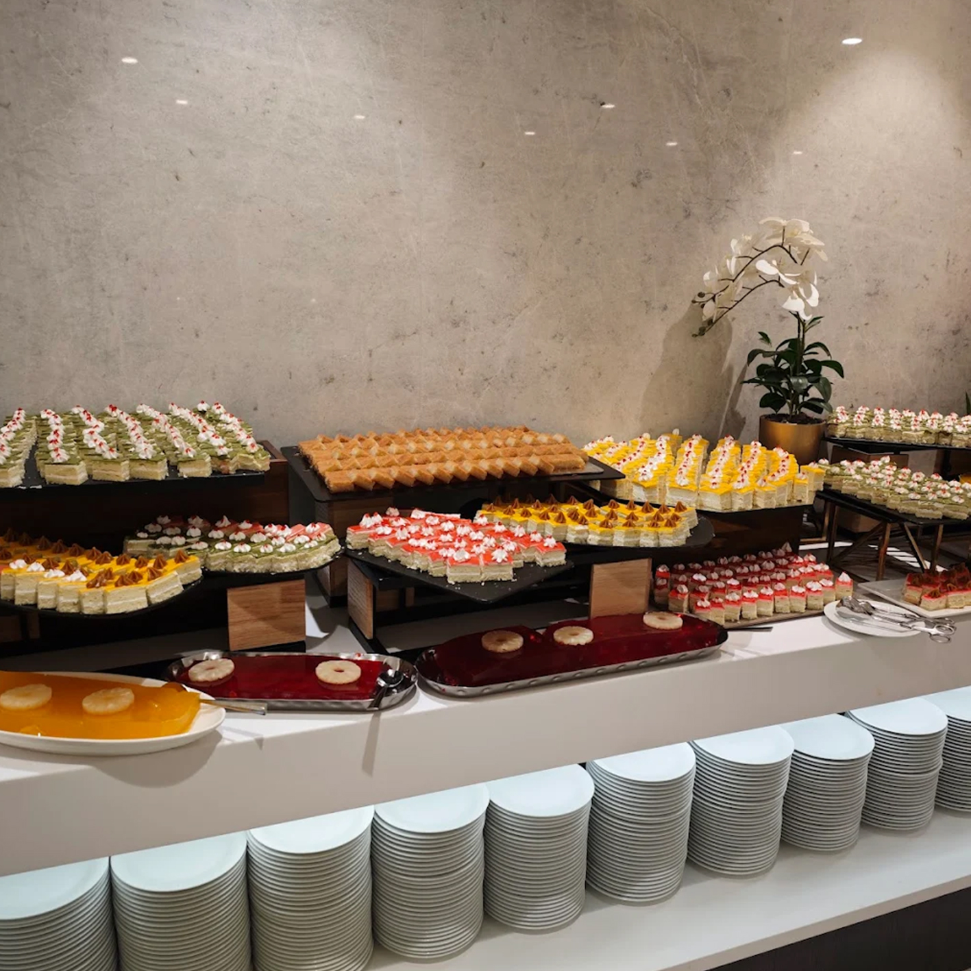 Photo 12_0.60232300-1763023948.jpg