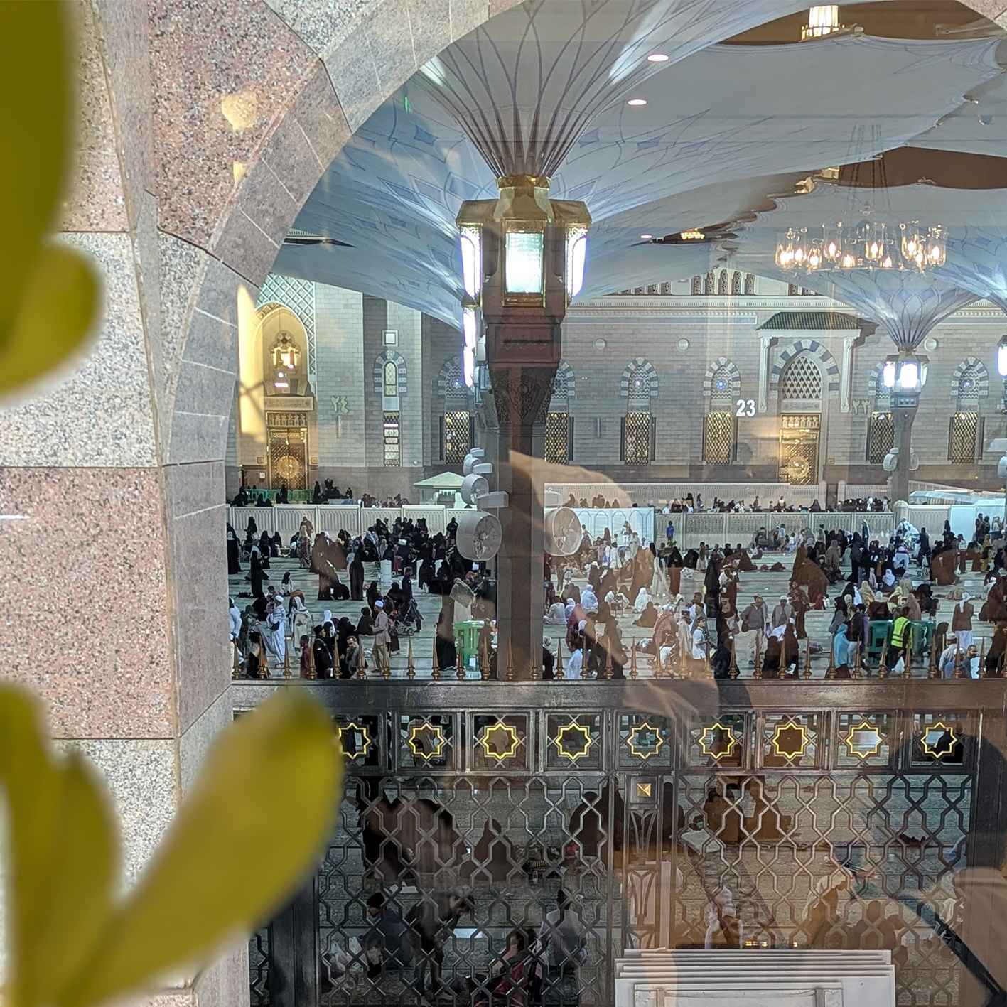 Photo 6_0.57795900-1763023813.jpg